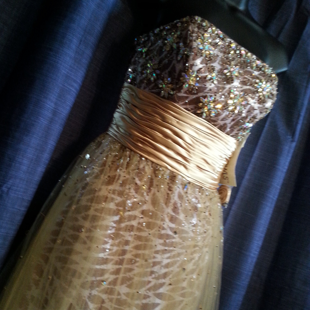 Gorgeous Tony Bowls Le Gala 111518 Prom Gown NWT